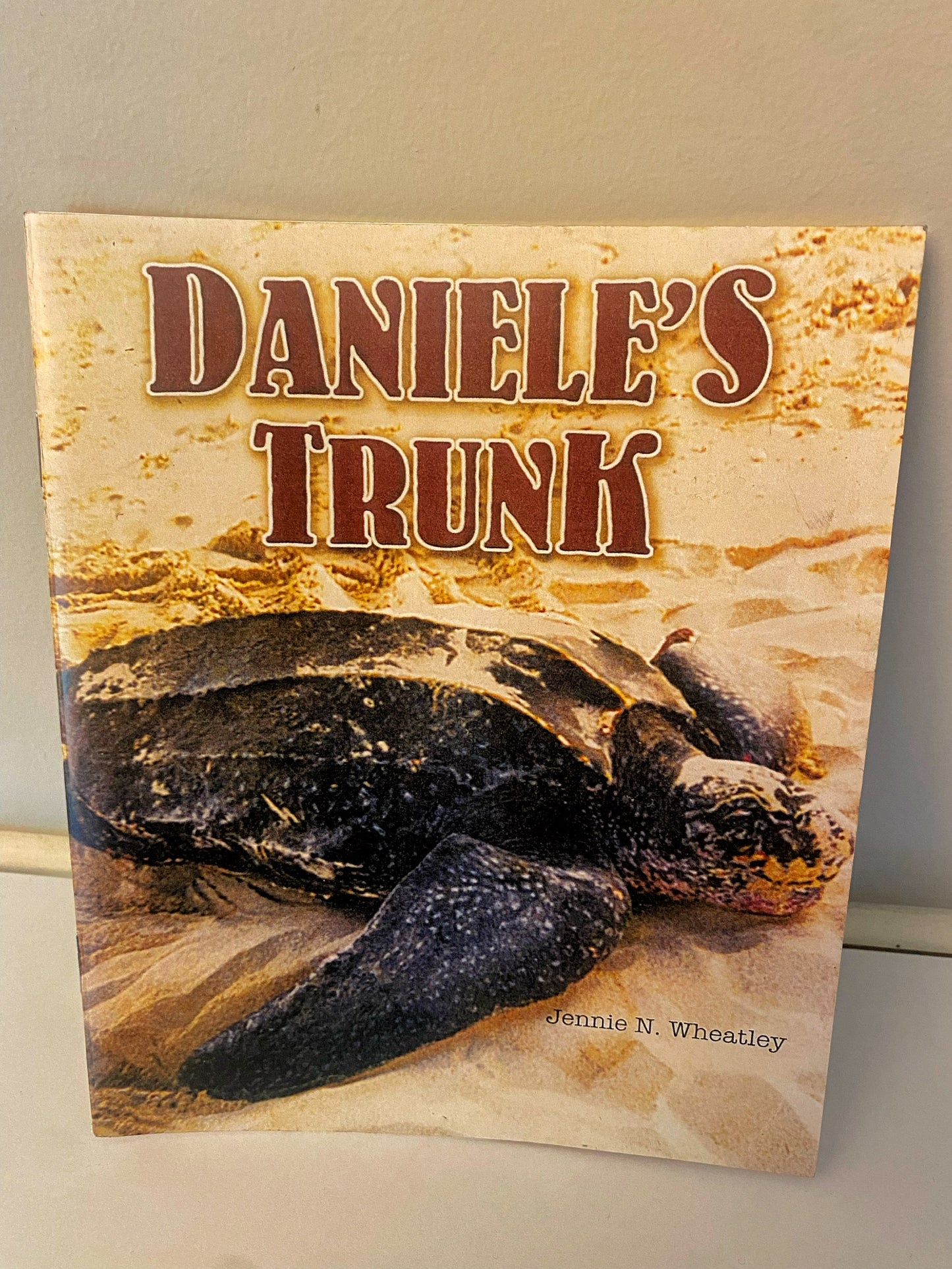 Daniele's Trunk