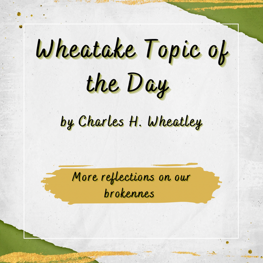 “Wheatake 45” More reflections on our brokenness
