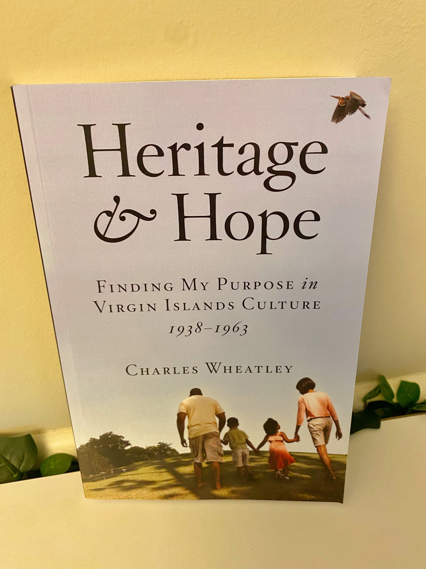 Heritage and Hope (Paperback)